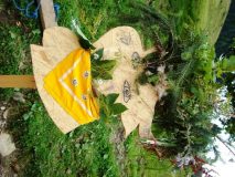 DSC01072-rotated