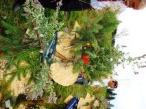 DSC01075-rotated