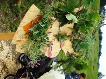 DSC01079-rotated