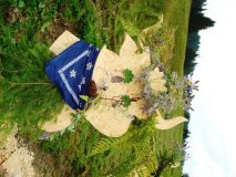 DSC01081-rotated