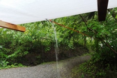2011 Familientag