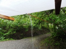 DSC00571