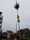 20180217_103812-scaled
