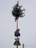 20180217_103951-scaled