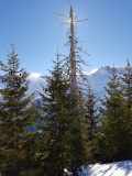 20180304_103655-scaled