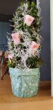 20191214_145346-scaled