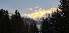 20190302_175159-scaled