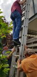 20200801_102619-scaled