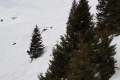 2020 Skiweekend
