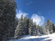 img-20200301-wa0021