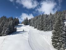 img-20200301-wa0023