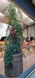 20231216_160804-scaled