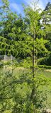 20230701_100305-scaled