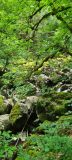 20230701_134942-scaled