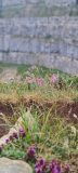 20230702_105444-scaled