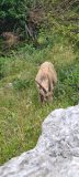 20230702_112130-scaled