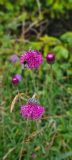 20230702_112907-scaled