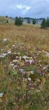20230702_114734-scaled