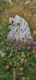 20230702_115728-scaled