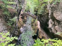 IMG-20230702-WA0005