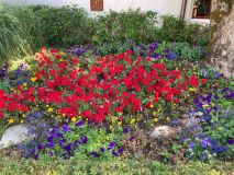 IMG-20230702-WA0017