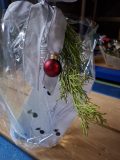 20241214_150319-scaled